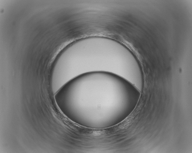 X0000061740060200512021051