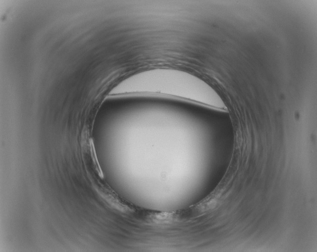 X0000061740092200512021052