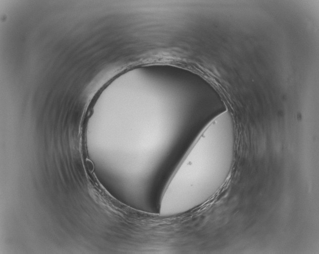 X0000061740100200512021051