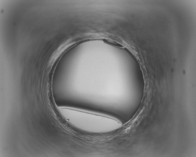 X0000061740103200512021051