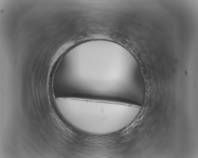 X0000061740104200512021051