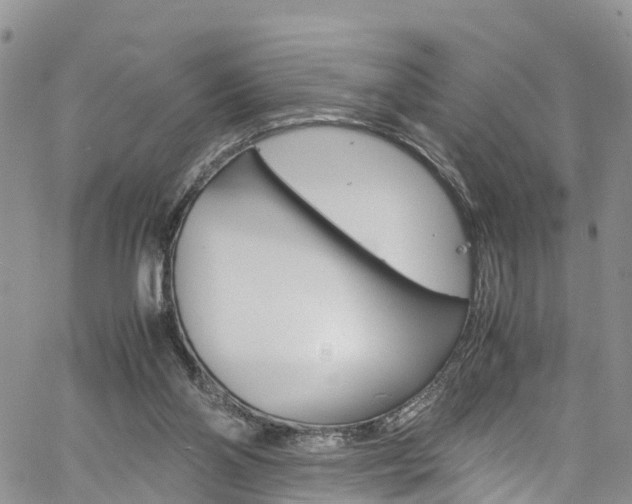 X0000061740110200512021051