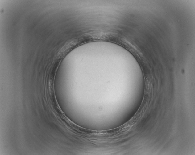 X0000061740117200512021051