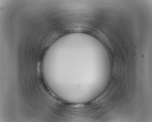 X0000061740122200512021051