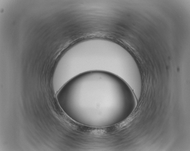 X0000061740168200512021050