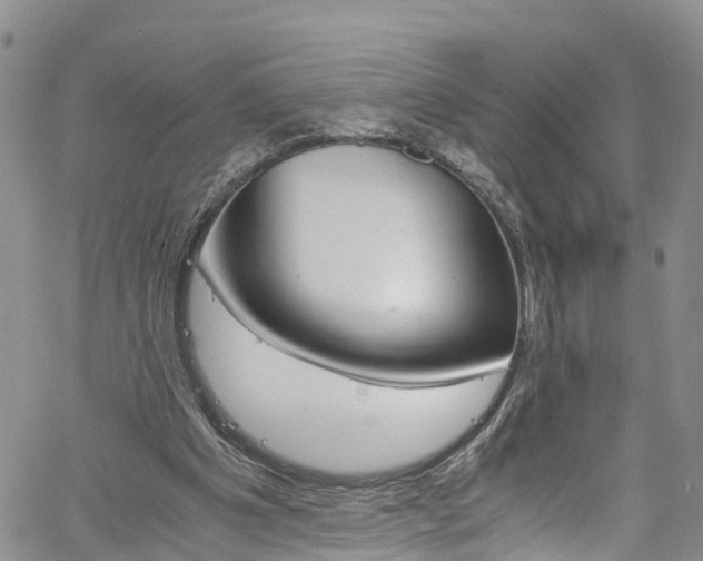 X0000061740201200512021049
