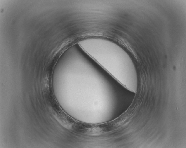 X0000061740212200512021049