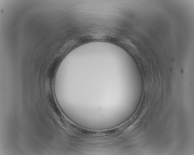 X0000061740213200512021049