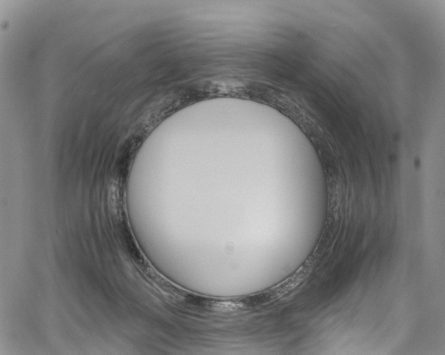 X0000061740222200512021049