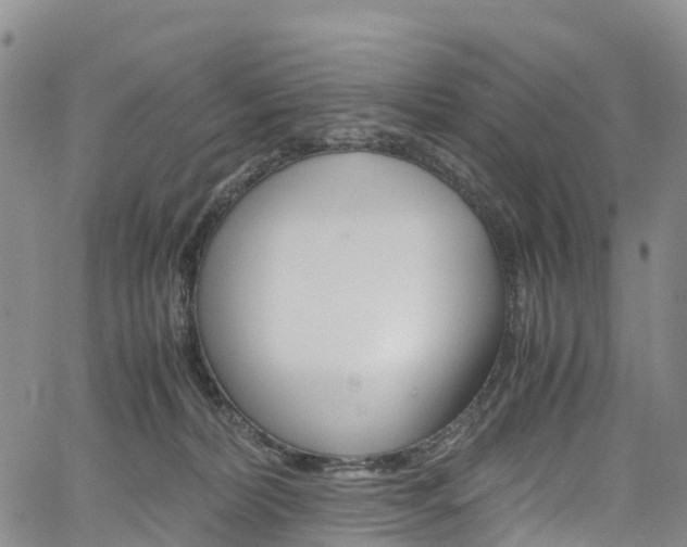 X0000061740228200512021049