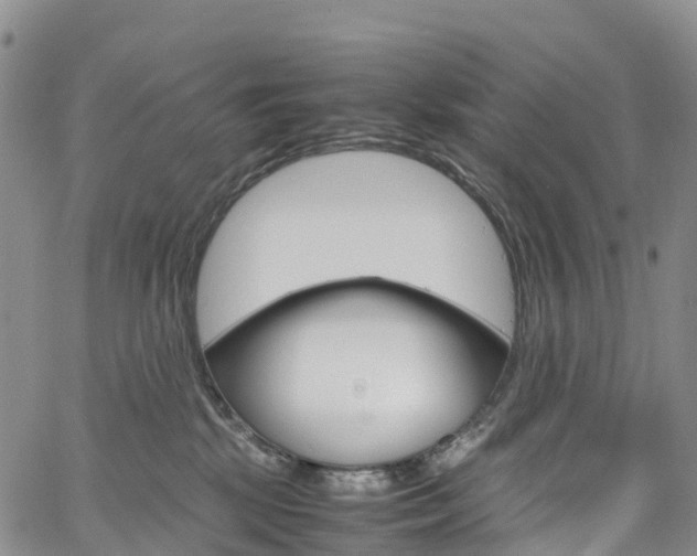 X0000061740281200512021048