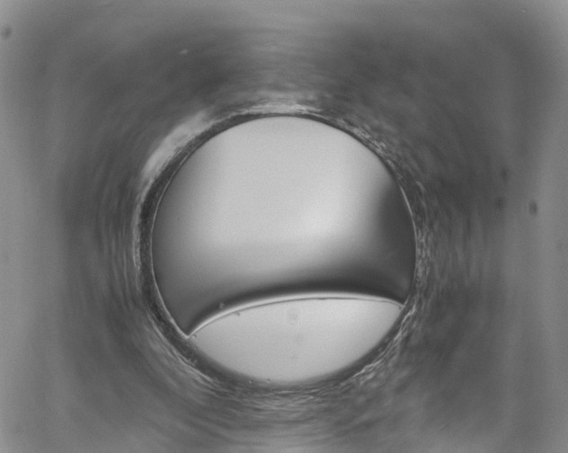 X0000061740296200512021048