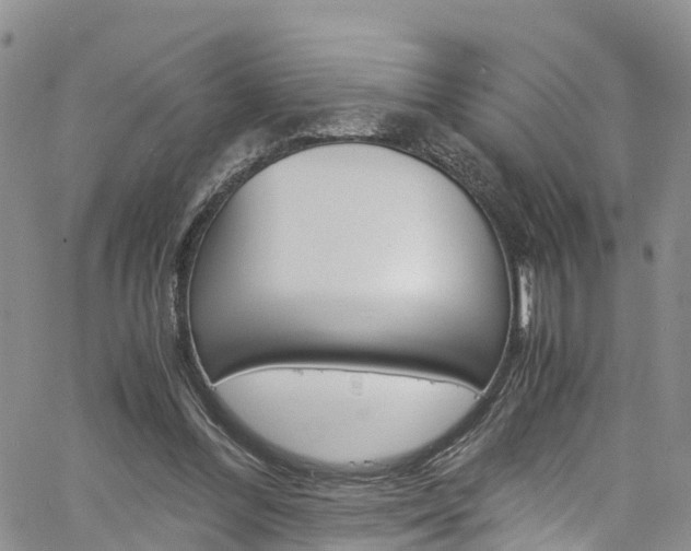 X0000061740300200512021048