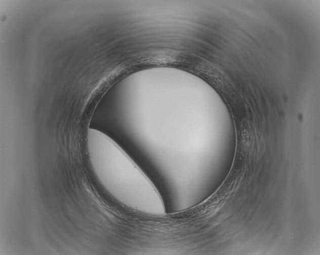 X0000061740304200512021048