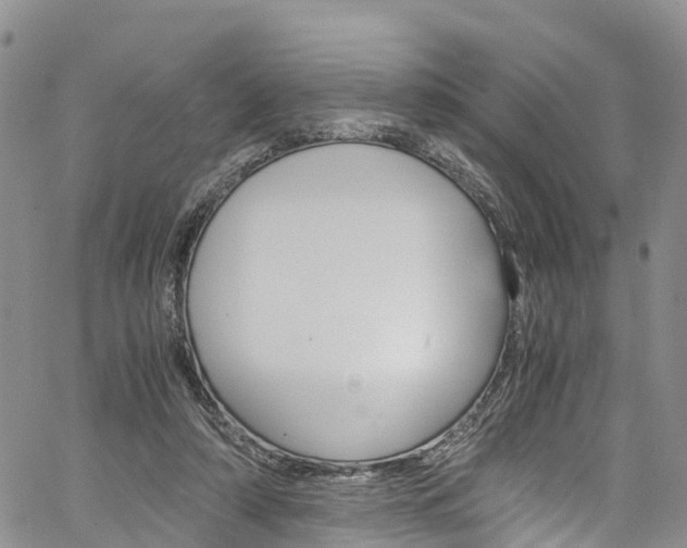 X0000061740306200512021048