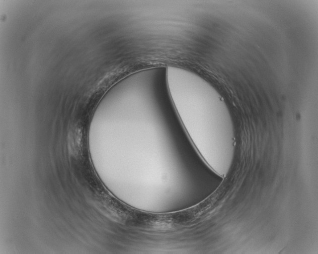 X0000061740308200512021047