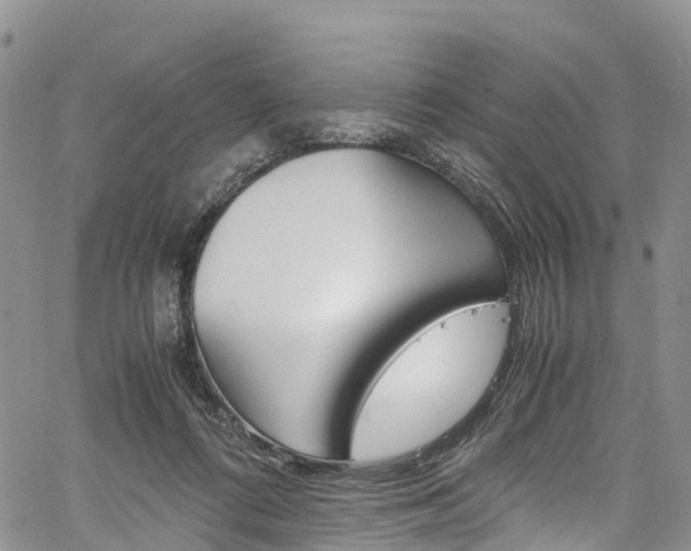 X0000061740312200512021047