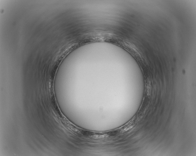X0000061740314200512021047