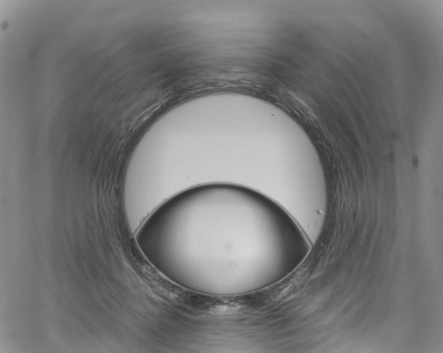 X0000061740364200512021047