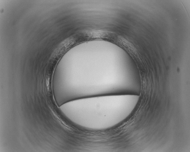 X0000061740406200512021046
