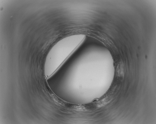 X0000061740424200512021046