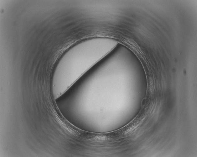 X0000061740441200512021045