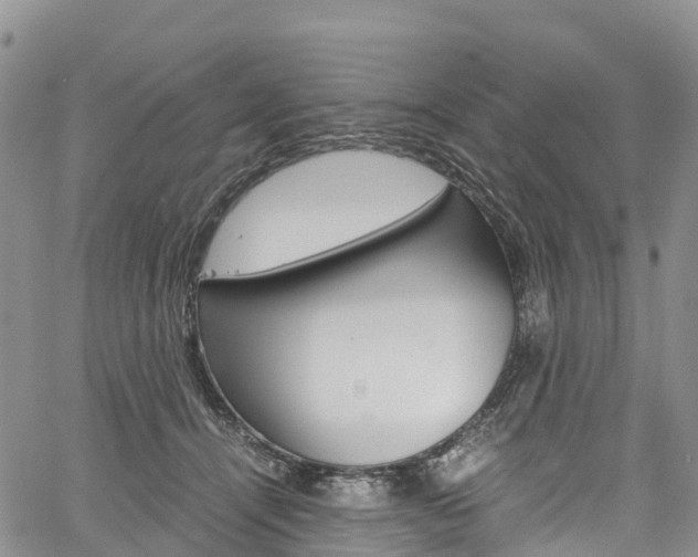 X0000061740464200512021045