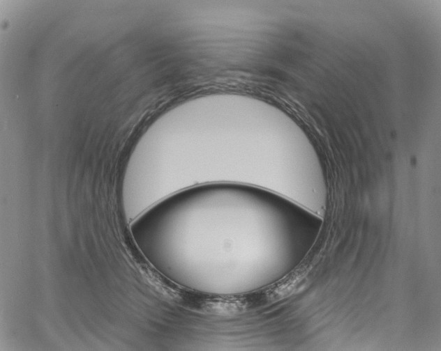 X0000061740466200512021045