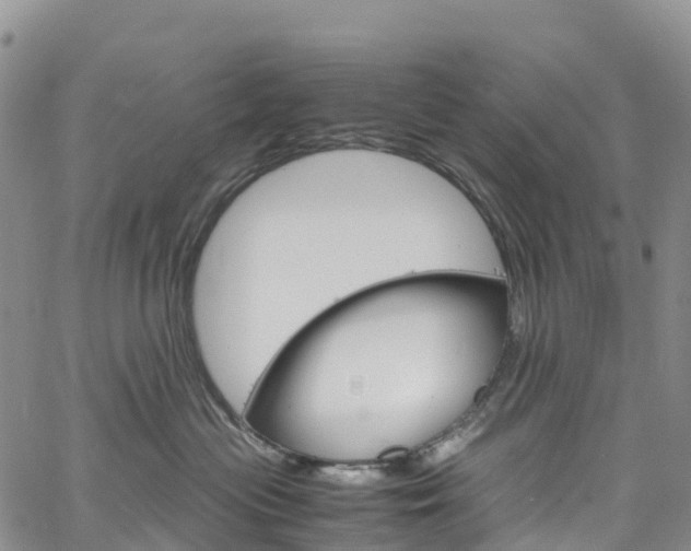X0000061740477200512021045