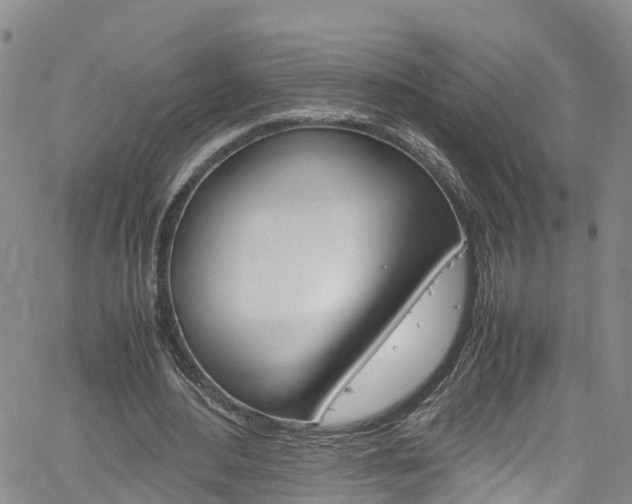 X0000061740484200512021045