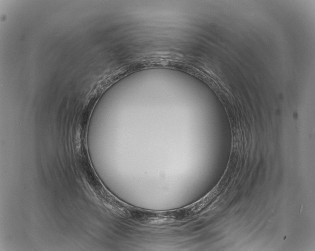 X0000061740504200512021044