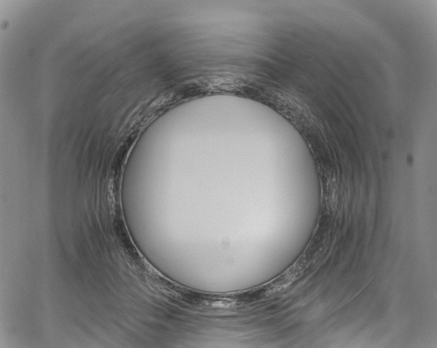 X0000061740506200512021044
