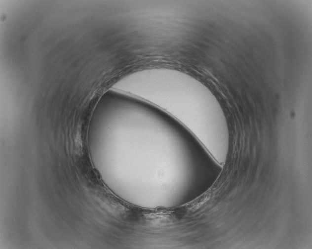 X0000061740516200512021044