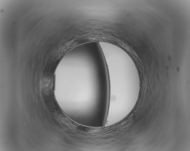 X0000061740521200512021044
