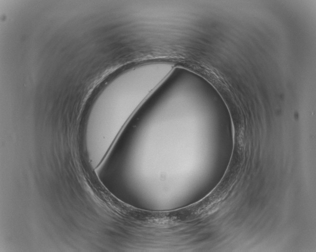 X0000061740540200512021043