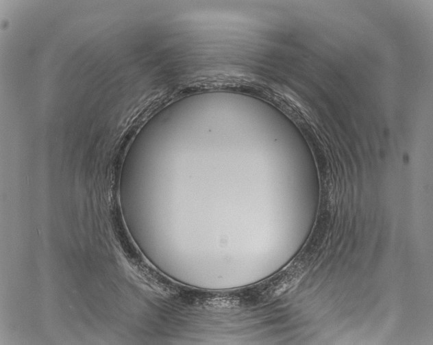 X0000061740546200512021043