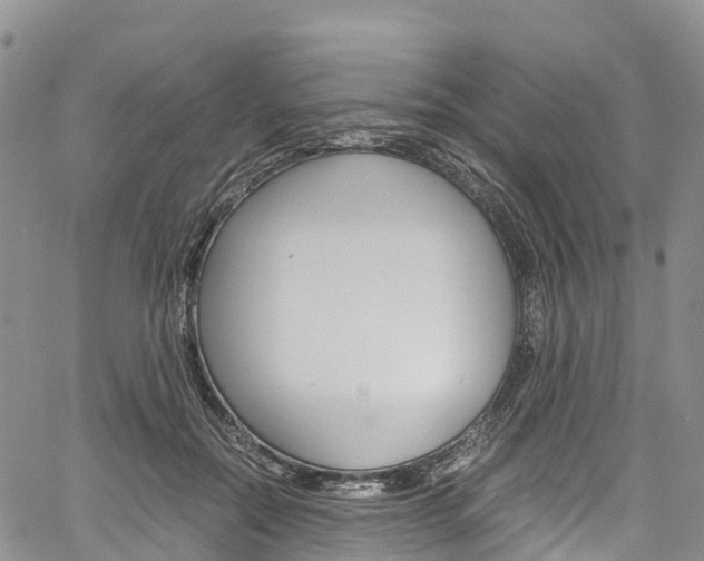 X0000061740554200512021044