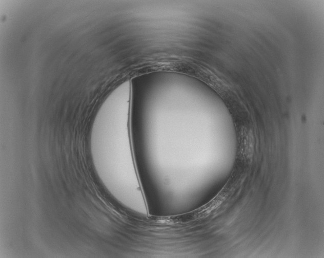 X0000061740562200512021044