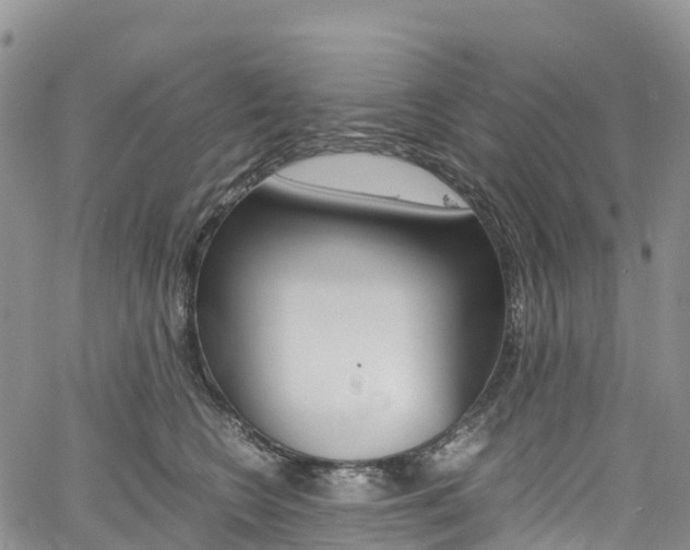 X0000061740566200512021044