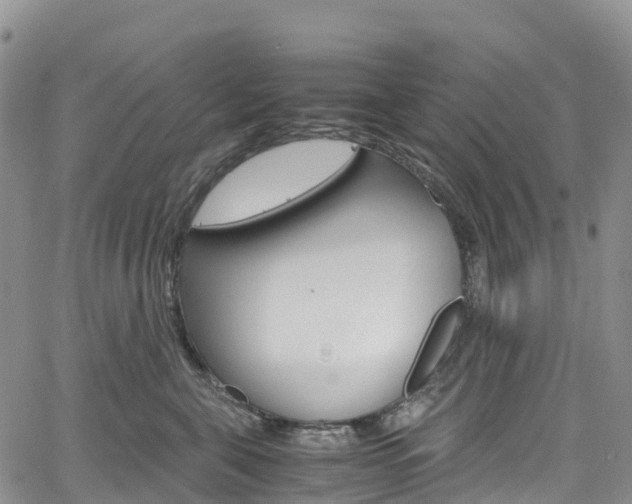 X0000061740571200512021044