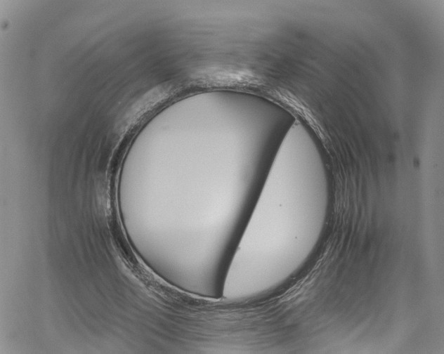 X0000061740582200512021043