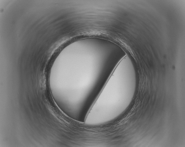 X0000061740584200512021043
