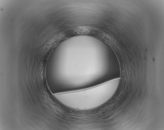 X0000061740604200512021043