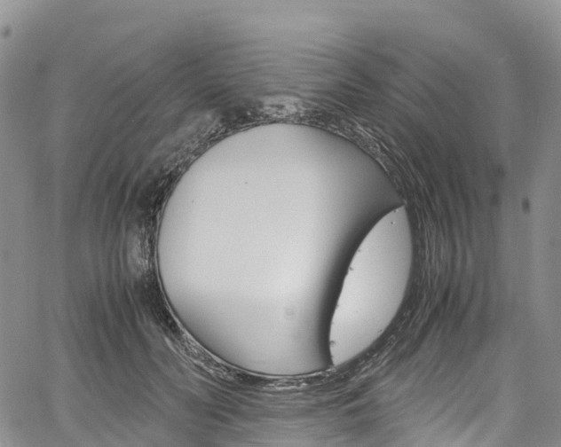X0000061740606200512021043