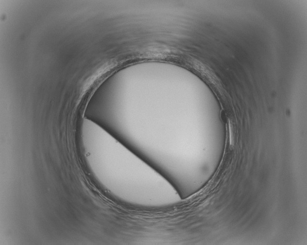 X0000061740675200512021042