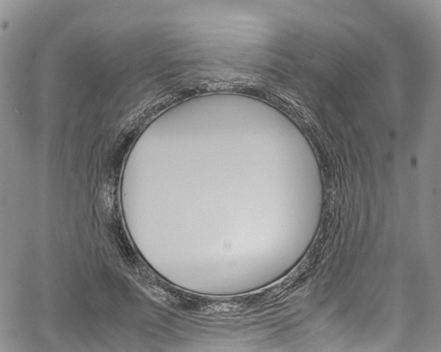 X0000061740691200512021041