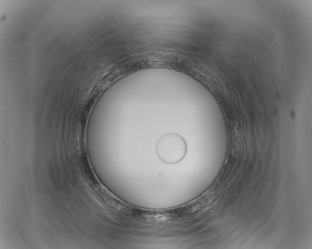 X0000061740698200512021041