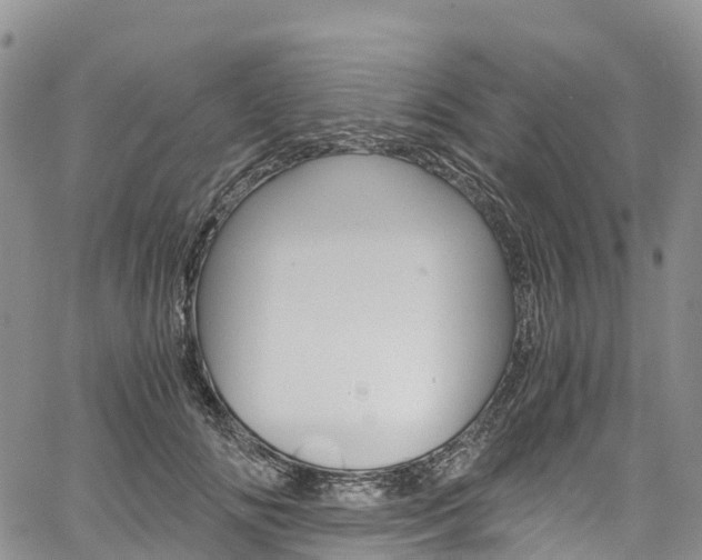 X0000061740702200512021041