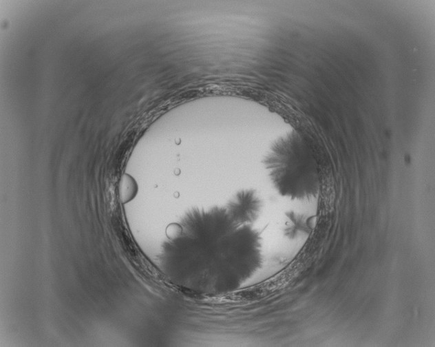 X0000061740703200512021041