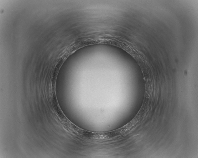 X0000061740704200512021041